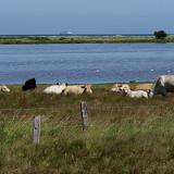 1307G 043 Insel Fehmarn